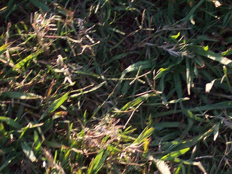 100_3619.JPG