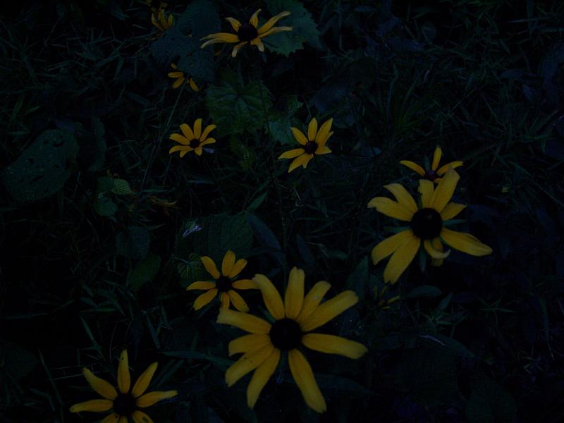 100_3740.JPG
