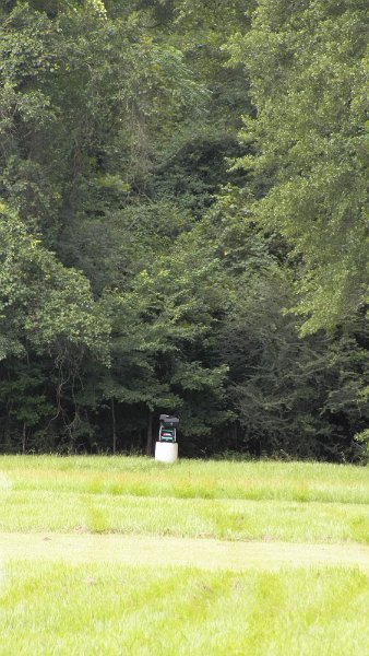 100_0831.JPG