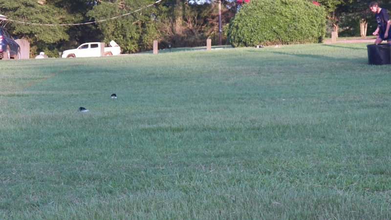 100_1071.JPG