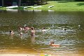 DSC00006