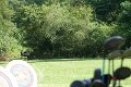 DSC00323