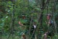 DSC00769