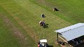 DJI_0165
