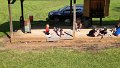 DJI_0188