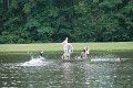 DSC03413