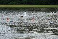 DSC03431