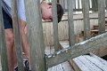 DSC03518