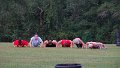 DSC05353