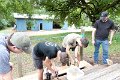 DSC05519