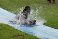 DSC01702