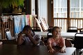 DSC01907