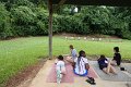 DSC01945