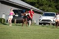 DSC02677