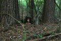 DSC03030