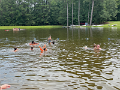 IMG_3050