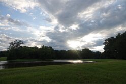 DSC00379