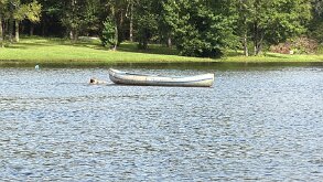 IMG_7341